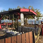 Cocon Entre Presqu'ile Du Cap Ferret Et Plages Oceanes - Terrasse - 1 Velo Gratuit *