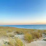 Cocon Entre Presqu'ile Du Cap Ferret Et Plages Oceanes - Terrasse - 1 Velo Gratuit アレ