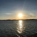 別荘 Cocon Entre Presqu'ile Du Cap Ferret Et Plages Oceanes - Terrasse - 1 Velo Gratuit