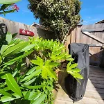 Cocon Entre Presqu'ile Du Cap Ferret Et Plages Oceanes - Terrasse - 1 Velo Gratuit 別荘