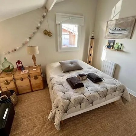 Cocon Entre Presqu'ile Du Cap Ferret Et Plages Oceanes - Terrasse - 1 Velo Gratuit Ares