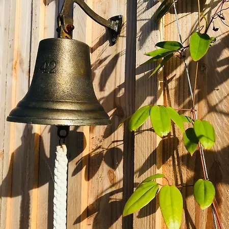 Cocon Entre Presqu'ile Du Cap Ferret Et Plages Oceanes - Terrasse - 1 Velo Gratuit Ares