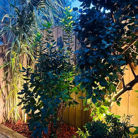 Cocon Entre Presqu'ile Du Cap Ferret Et Plages Oceanes - Terrasse - 1 Velo Gratuit * Ares