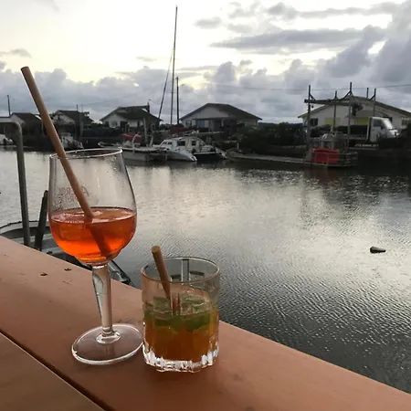 Cocon Entre Presqu'ile Du Cap Ferret Et Plages Oceanes - Terrasse - 1 Velo Gratuit
