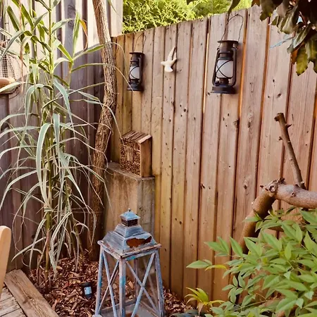 Cocon Entre Presqu'ile Du Cap Ferret Et Plages Oceanes - Terrasse - 1 Velo Gratuit Casa de Férias *