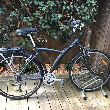 Cocon Entre Presqu'ile Du Cap Ferret Et Plages Oceanes - Terrasse - 1 Velo Gratuit * Ares