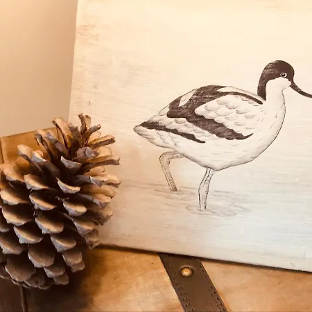 Cocon Entre Presqu'ile Du Cap Ferret Et Plages Oceanes - Terrasse - 1 Velo Gratuit Ferienhaus Ares