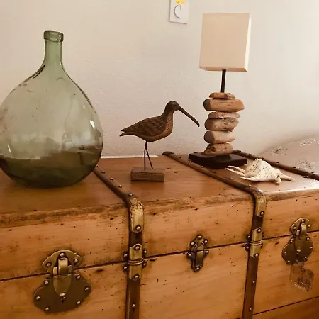 Cocon Entre Presqu'ile Du Cap Ferret Et Plages Oceanes - Terrasse - 1 Velo Gratuit