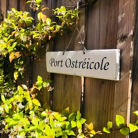 Cocon Entre Presqu'ile Du Cap Ferret Et Plages Oceanes - Terrasse - 2 Velos Gratuits