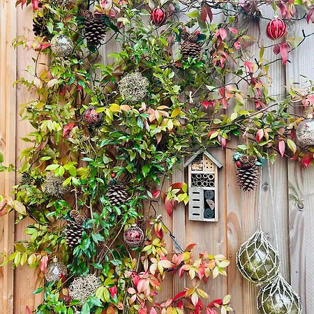 Ferienhaus Cocon Entre Presqu'ile Du Cap Ferret Et Plages Oceanes - Terrasse - 1 Velo Gratuit Ares