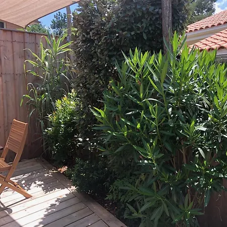 Cocon Entre Presqu'ile Du Cap Ferret Et Plages Oceanes - Terrasse - 2 Velos Gratuits *