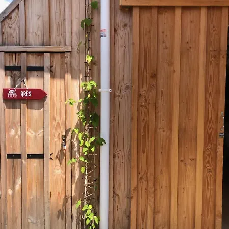 Ferienhaus Cocon Entre Presqu'ile Du Cap Ferret Et Plages Oceanes - Terrasse - 1 Velo Gratuit *