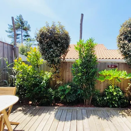 Cocon Entre Presqu'ile Du Cap Ferret Et Plages Oceanes - Terrasse - 1 Velo Gratuit Ares