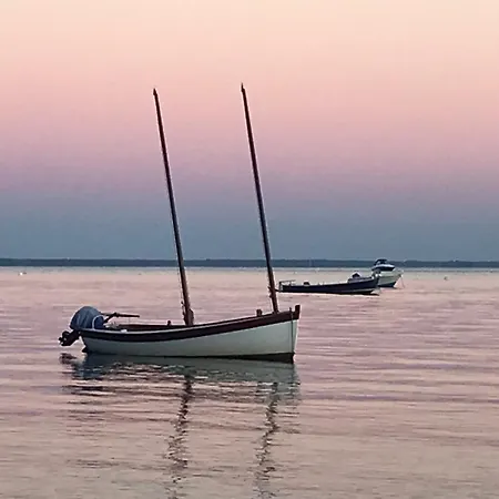 Cocon Entre Presqu'ile Du Cap Ferret Et Plages Oceanes - Terrasse - 2 Velos Gratuits بيت للعطل *