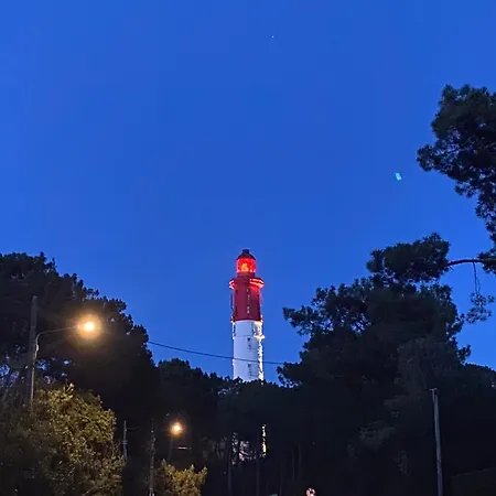 Feriehus Cocon Entre Presqu'ile Du Cap Ferret Et Plages Oceanes - Terrasse - 1 Velo Gratuit Ares