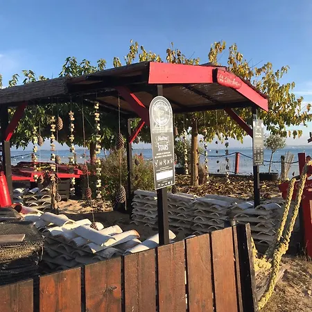 Cocon Entre Presqu'ile Du Cap Ferret Et Plages Oceanes - Terrasse - 1 Velo Gratuit *