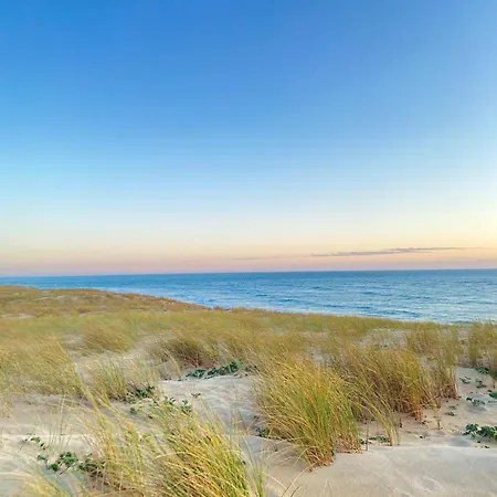 Cocon Entre Presqu'ile Du Cap Ferret Et Plages Oceanes - Terrasse - 2 Velos Gratuits آريس