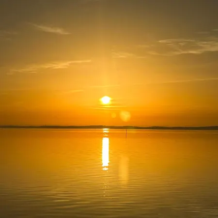 Cocon Entre Presqu'ile Du Cap Ferret Et Plages Oceanes - Terrasse - 1 Velo Gratuit * آريس