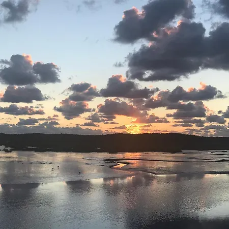 Cocon Entre Presqu'ile Du Cap Ferret Et Plages Oceanes - Terrasse - 1 Velo Gratuit Σπίτι διακοπών