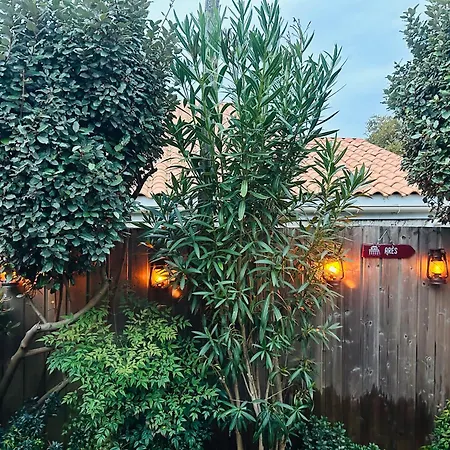 Cocon Entre Presqu'ile Du Cap Ferret Et Plages Oceanes - Terrasse - 1 Velo Gratuit