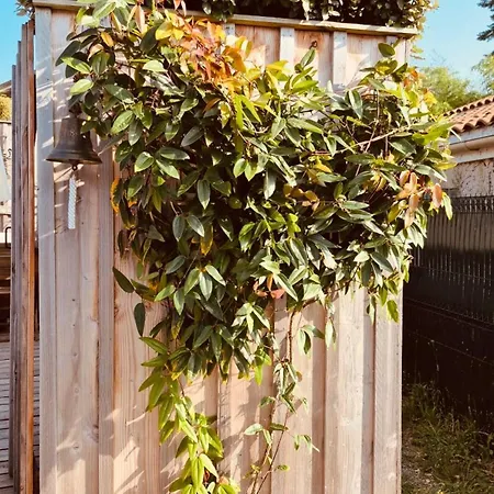 Cocon Entre Presqu'ile Du Cap Ferret Et Plages Oceanes - Terrasse - 1 Velo Gratuit *