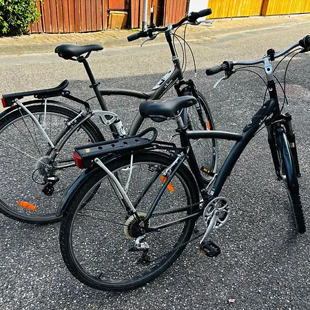 Cocon Entre Presqu'ile Du Cap Ferret Et Plages Oceanes - Terrasse - 2 Velos Gratuits