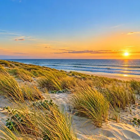 Сasa de vacaciones Cocon Entre Cap Ferret Et Plages - Grande Terrasse - 2 Vélos Inclus