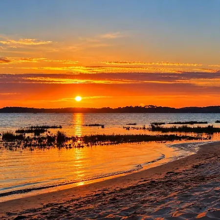 Hébergement de vacances Cocon Entre Cap Ferret Et Plages - Grande Terrasse - 2 Vélos Inclus *