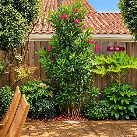 Cocon Entre Cap Ferret Et Plages - Grande Terrasse - 2 Vélos Inclus Hébergement de vacances