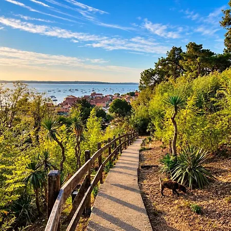 Hébergement de vacances Cocon Entre Cap Ferret Et Plages - Grande Terrasse - 2 Vélos Inclus *