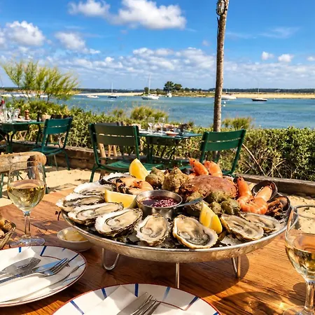 Cocon Entre Cap Ferret Et Plages - Grande Terrasse - 2 Vélos Inclus Hébergement de vacances Ares