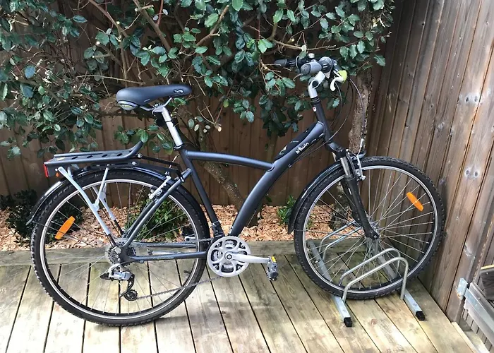 Cocon Entre Presqu'île Du Cap Ferret Et Plages Océanes - Terrasse - 1 Vélo Gratuit * Ares