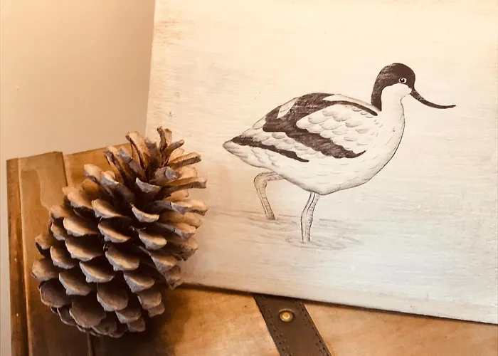 Cocon Entre Presqu'ile Du Cap Ferret Et Plages Oceanes - Terrasse - 1 Velo Gratuit Feriehus Ares