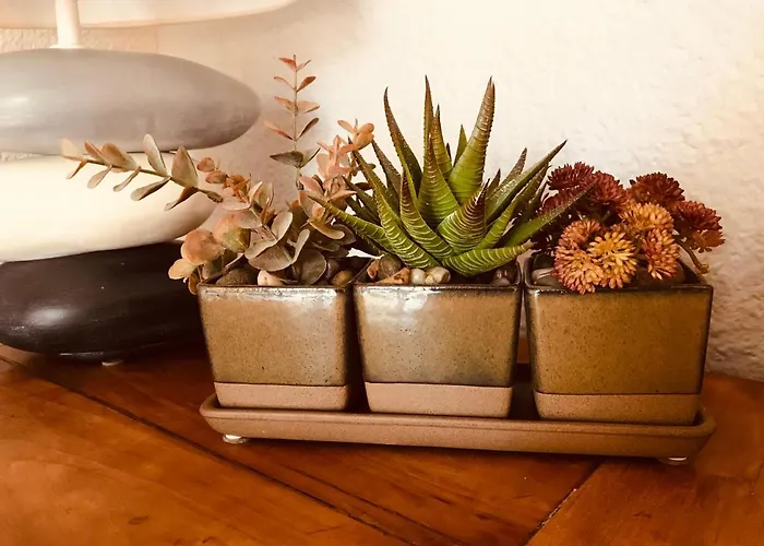 Cocon Entre Presqu'ile Du Cap Ferret Et Plages Oceanes - Terrasse - 1 Velo Gratuit *