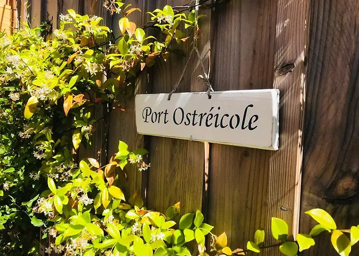 Cocon Entre Presqu'île Du Cap Ferret Et Plages Océanes - Terrasse - 1 Vélo Gratuit