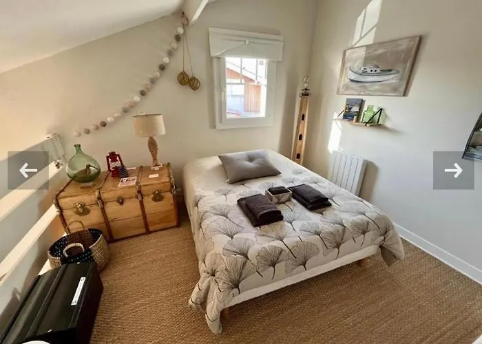 Cocon Entre Presqu'ile Du Cap Ferret Et Plages Oceanes - Terrasse - 1 Velo Gratuit Ares