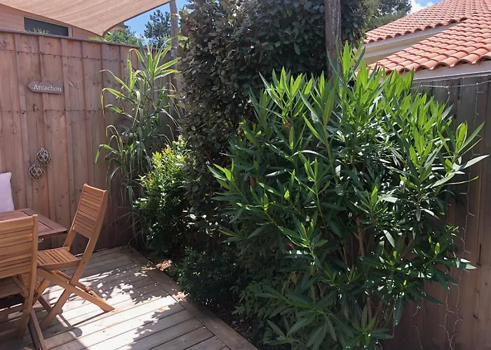 Cocon Entre Presqu'ile Du Cap Ferret Et Plages Oceanes - Terrasse - 1 Velo Gratuit *