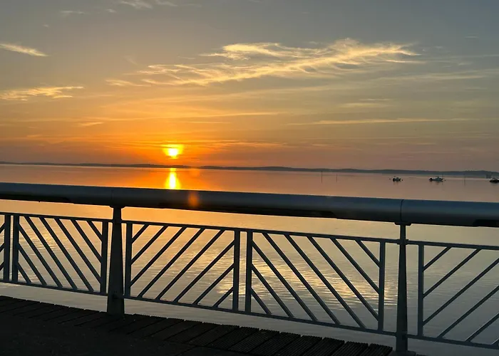 Hébergement de vacances Cocon Entre Presqu'île Du Cap Ferret Et Plages Océanes - Terrasse - 1 Vélo Gratuit Ares