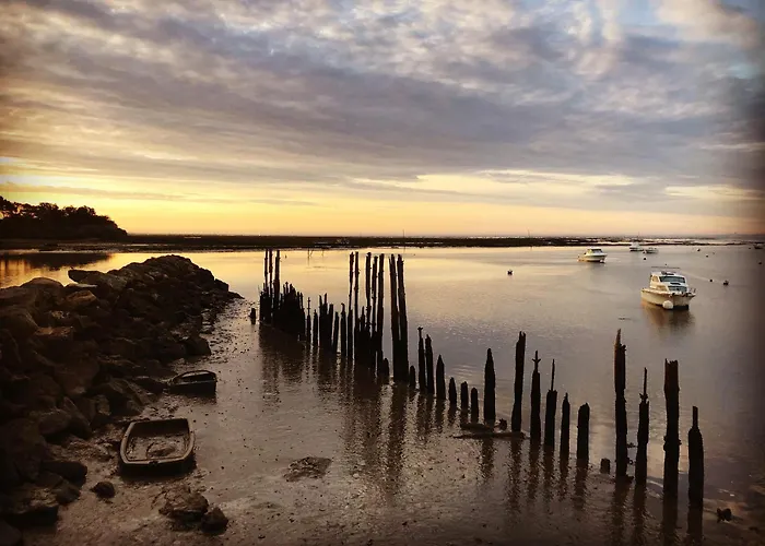 Feriehus Cocon Entre Presqu'ile Du Cap Ferret Et Plages Oceanes - Terrasse - 1 Velo Gratuit