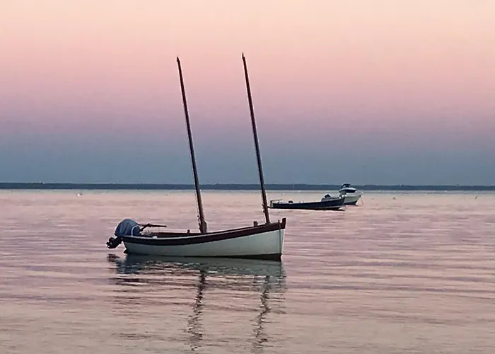 Cocon Entre Presqu'île Du Cap Ferret Et Plages Océanes - Terrasse - 1 Vélo Gratuit Hébergement de vacances *