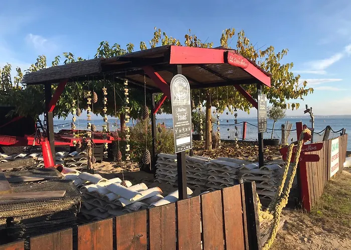 Cocon Entre Presqu'île Du Cap Ferret Et Plages Océanes - Terrasse - 1 Vélo Gratuit *
