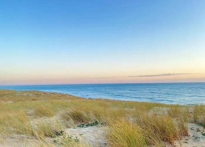 Cocon Entre Presqu'île Du Cap Ferret Et Plages Océanes - Terrasse - 1 Vélo Gratuit Ares