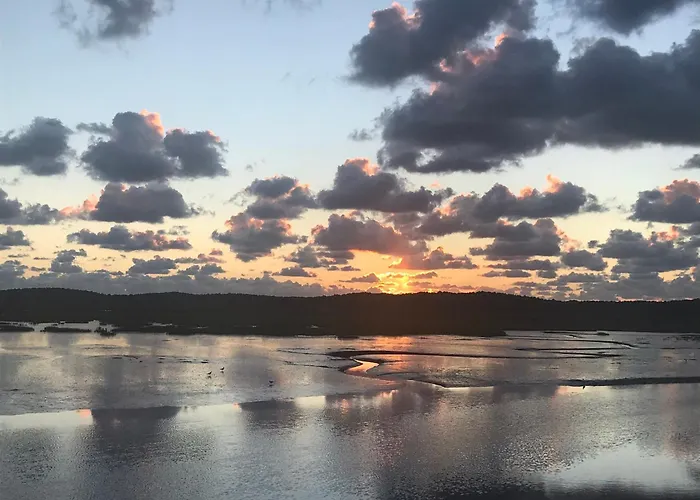 Cocon Entre Presqu'île Du Cap Ferret Et Plages Océanes - Terrasse - 1 Vélo Gratuit Hébergement de vacances