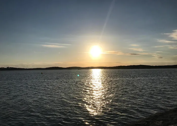 Hébergement de vacances Cocon Entre Presqu'île Du Cap Ferret Et Plages Océanes - Terrasse - 1 Vélo Gratuit