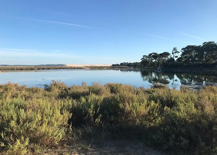 Hébergement de vacances Cocon Entre Presqu'île Du Cap Ferret Et Plages Océanes - Terrasse - 1 Vélo Gratuit Ares