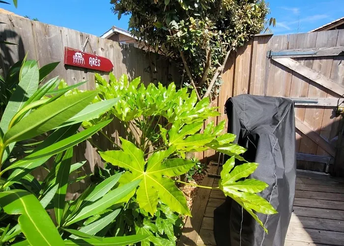 Cocon Entre Presqu'ile Du Cap Ferret Et Plages Oceanes - Terrasse - 1 Velo Gratuit Feriehus