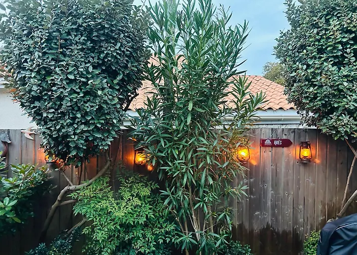 Cocon Entre Presqu'ile Du Cap Ferret Et Plages Oceanes - Terrasse - 1 Velo Gratuit