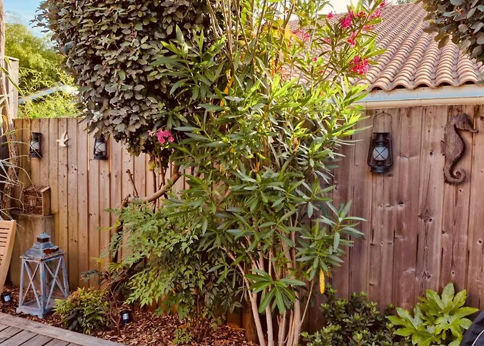 Cocon Entre Presqu'ile Du Cap Ferret Et Plages Oceanes - Terrasse - 1 Velo Gratuit * Ares